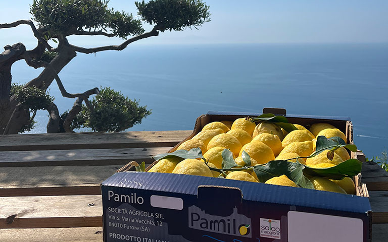 limoni