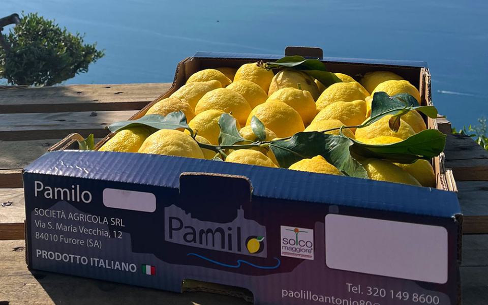 limoni_cassetta