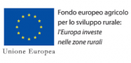 ue